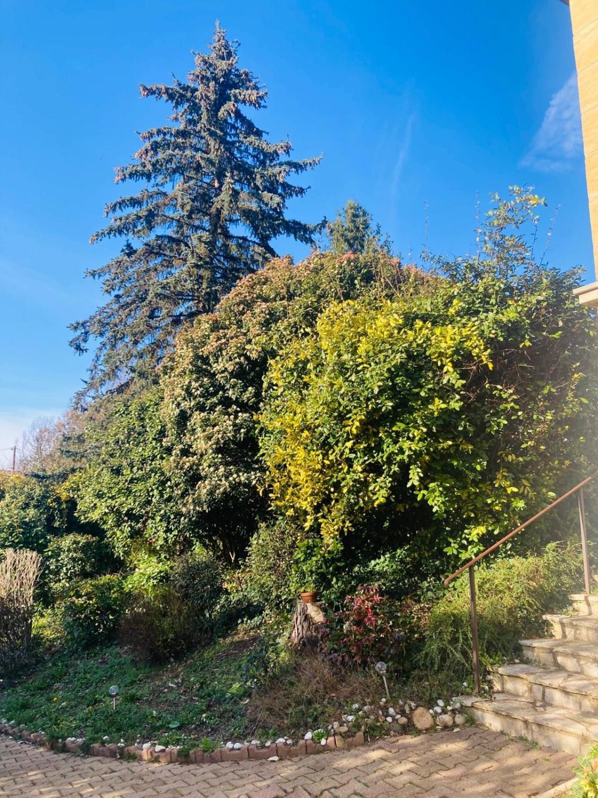 La Petite Noix Apartamento Sarlat-la-Canéda Exterior foto
