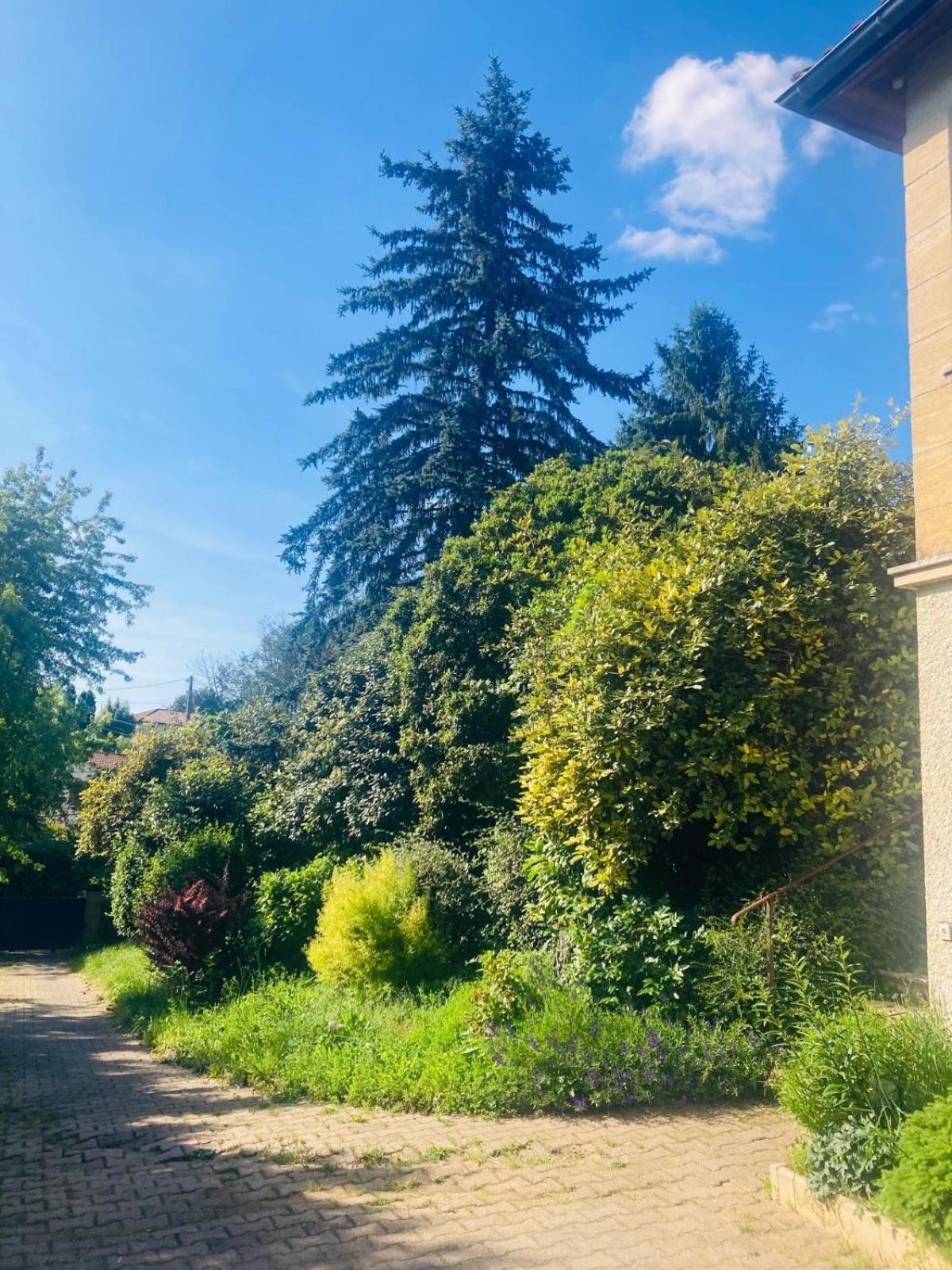 La Petite Noix Apartamento Sarlat-la-Canéda Exterior foto